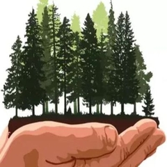 Всероссийская акция "Сохраним лес'