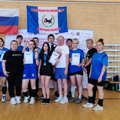 Миниволей "Жемчужина Сибири"