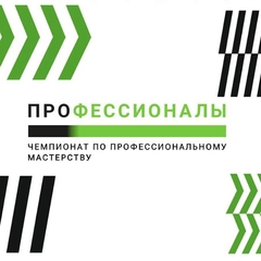 IV Региональный чемпионат «Профессионалы»