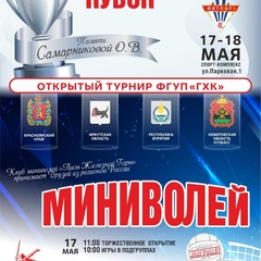 открытый всероссийский турнир по Миниволей